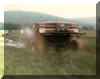 Mud Rat I